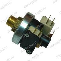 Термекс Датчик давления с 2 микропереключателями (SpT000942)