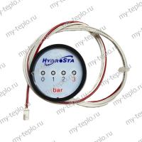 Манометр для котла Hydrosta HSG-130 SD (manomHSG130SD)
